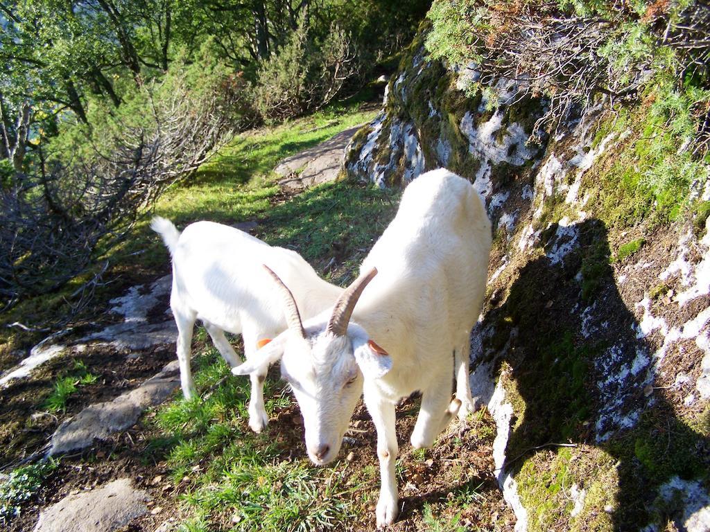 Agroturismo Westeras Gard