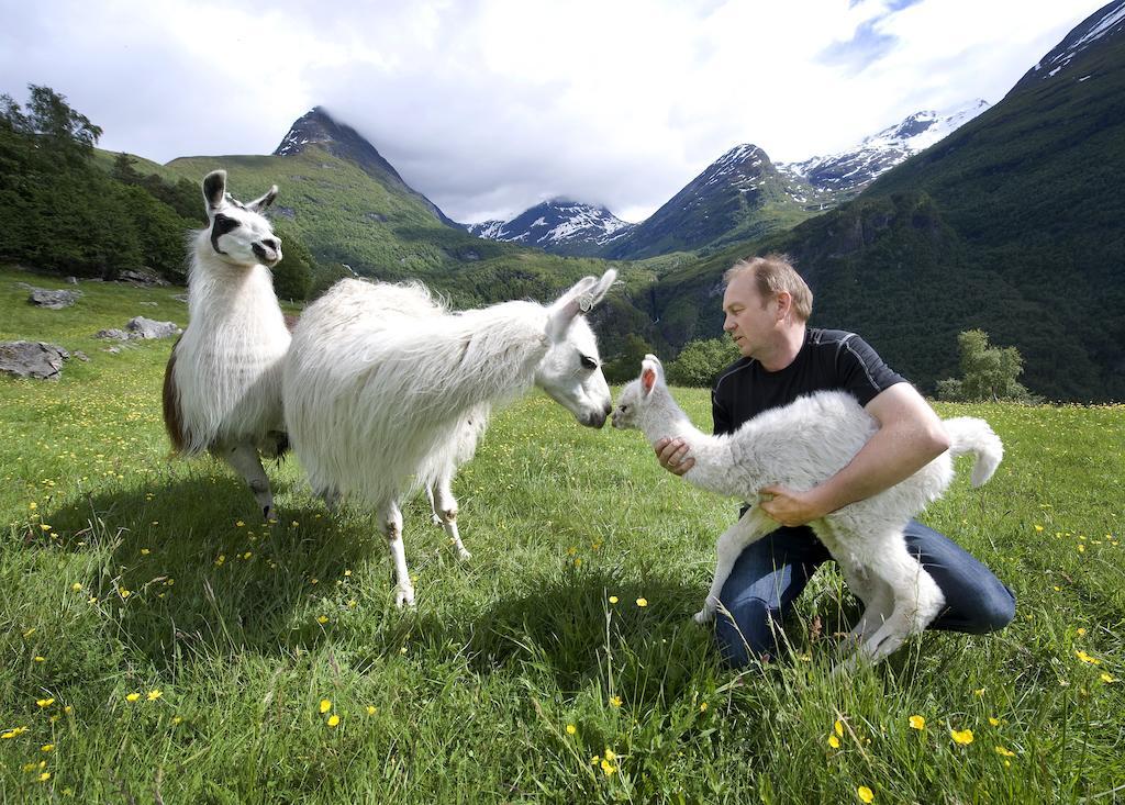 Agroturismo Westeras Gard Geiranger