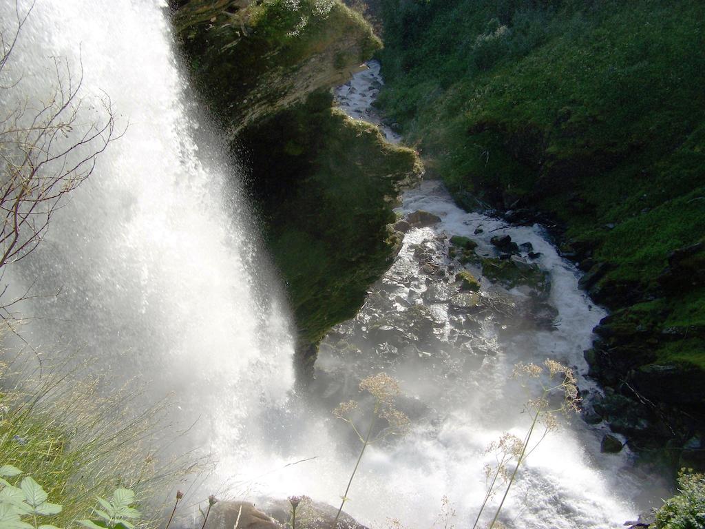 Farm stay Westeras Gard Geiranger